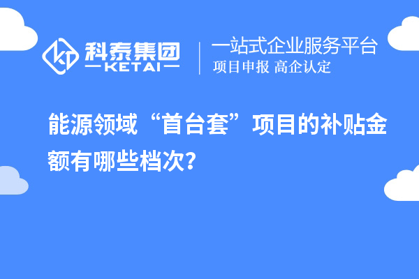 能源領(lǐng)域“首臺(tái)套”項(xiàng)目的補(bǔ)貼金額有哪些檔次？