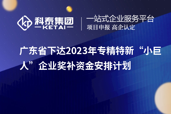 廣東省下達(dá)2023年專精特新“小巨人”企業(yè)獎(jiǎng)補(bǔ)資金安排計(jì)劃