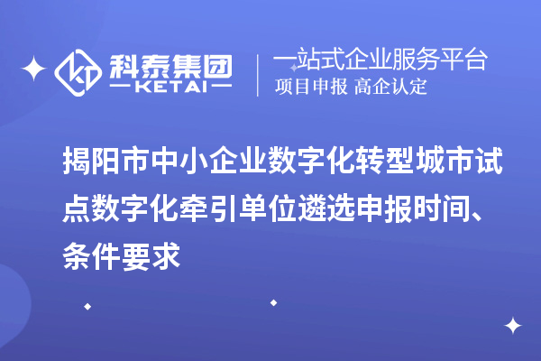 揭陽市中小企業(yè)數(shù)字化轉(zhuǎn)型城市試點數(shù)字化牽引單位遴選申報時間、條件要求