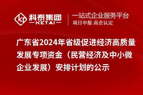 廣東省2024年省級(jí)促進(jìn)經(jīng)濟(jì)高質(zhì)量發(fā)展專項(xiàng)資金（民營經(jīng)濟(jì)及中小微企業(yè)發(fā)展）安排計(jì)劃的公示