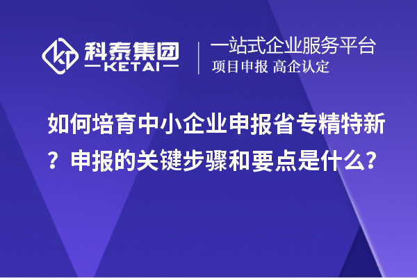 如何培育中小企業(yè)申報(bào)省專(zhuān)精特新？申報(bào)的關(guān)鍵步驟和要點(diǎn)是什么？