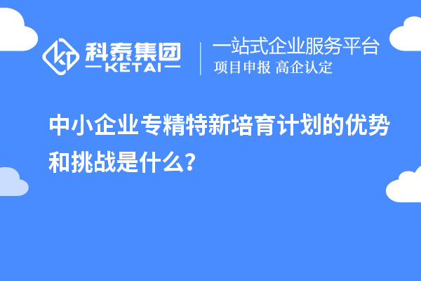 中小企業(yè)專精特新培育計劃的優(yōu)勢和挑戰(zhàn)是什么？