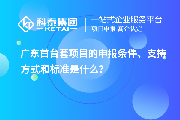 廣東首臺套項目的申報條件、支持方式和標準是什么？