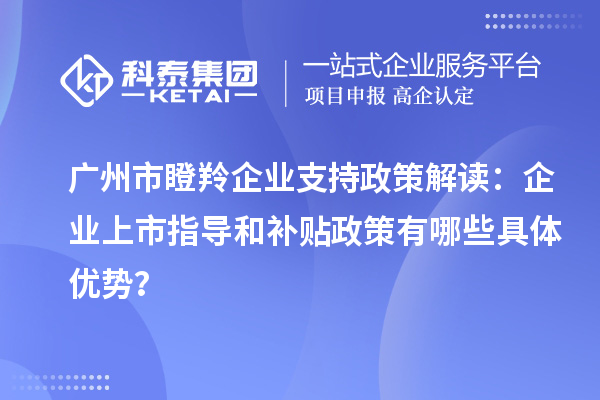 廣州市瞪羚企業(yè)支持政策解讀：企業(yè)上市指導(dǎo)和補(bǔ)貼政策有哪些具體優(yōu)勢？