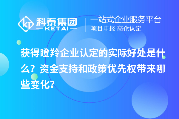 獲得瞪羚企業(yè)認(rèn)定的實際好處是什么？資金支持和政策優(yōu)先權(quán)帶來哪些變化？