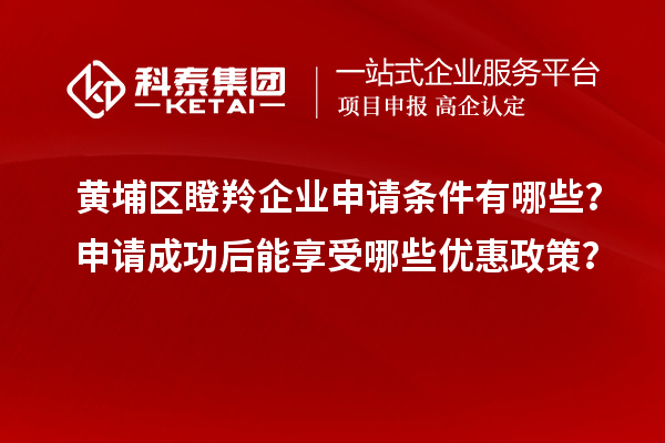 黃埔區(qū)瞪羚企業(yè)申請條件有哪些？申請成功后能享受哪些優(yōu)惠政策？