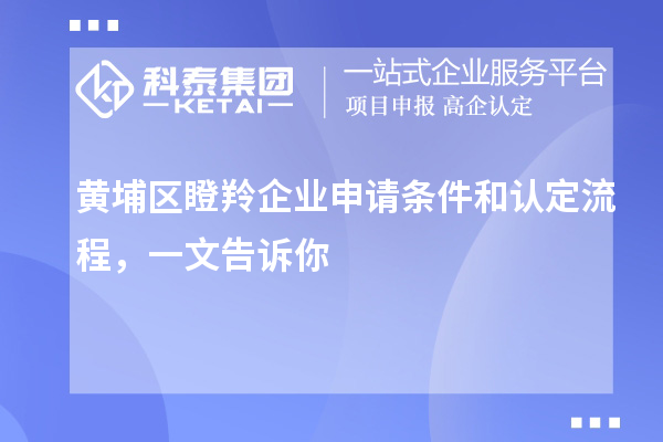 黃埔區(qū)瞪羚企業(yè)申請條件和認(rèn)定流程，一文告訴你