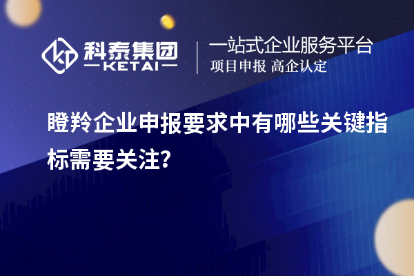 瞪羚企業(yè)申報要求中有哪些關(guān)鍵指標(biāo)需要關(guān)注？