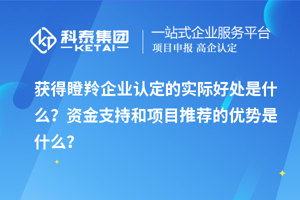 獲得瞪羚企業(yè)認(rèn)定的實際好處是什么？資金支持和項目推薦的優(yōu)勢是什么？