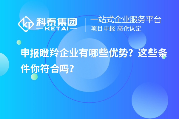 申報瞪羚企業(yè)有哪些優(yōu)勢？這些條件你符合嗎？