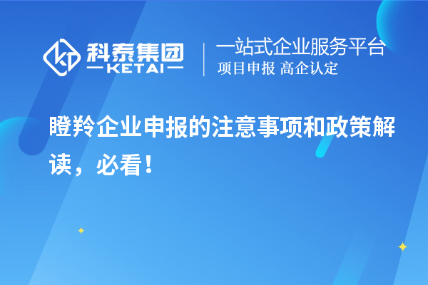 瞪羚企業(yè)申報的注意事項和政策解讀，必看！