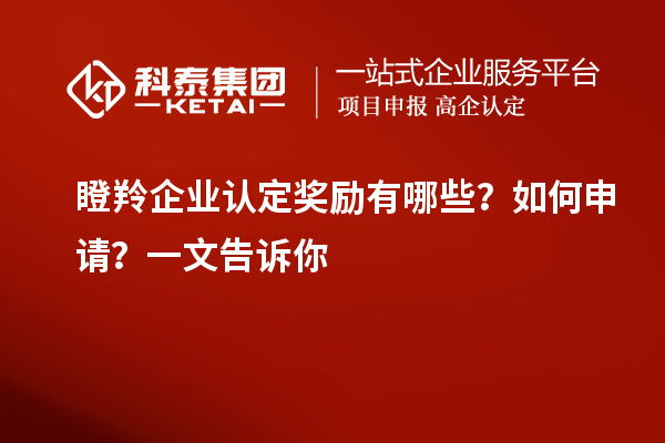 瞪羚企業(yè)認(rèn)定獎勵有哪些？如何申請？一文告訴你