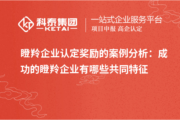 瞪羚企業(yè)認定獎勵的案例分析：成功的瞪羚企業(yè)有哪些共同特征