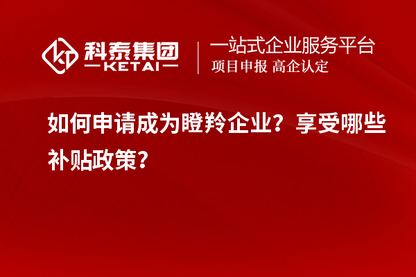 如何申請成為瞪羚企業(yè)？享受哪些補貼政策？