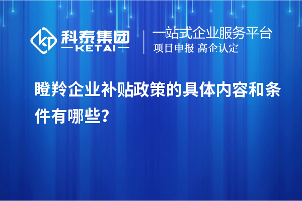 瞪羚企業(yè)補貼政策的具體內(nèi)容和條件有哪些？