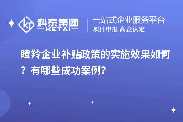 瞪羚企業(yè)補貼政策的實施效果如何？有哪些成功案例？