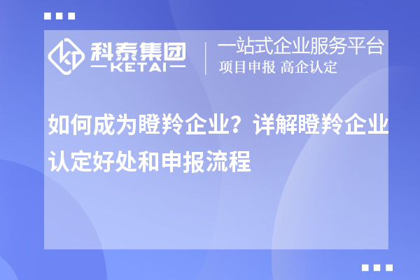 如何成為瞪羚企業(yè)？詳解<a href=http://armta.com/fuwu/dengling.html target=_blank class=infotextkey>瞪羚企業(yè)認定</a>好處和申報流程