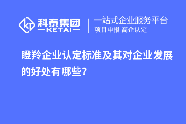 瞪羚企業(yè)認定標準及其對企業(yè)發(fā)展的好處有哪些？