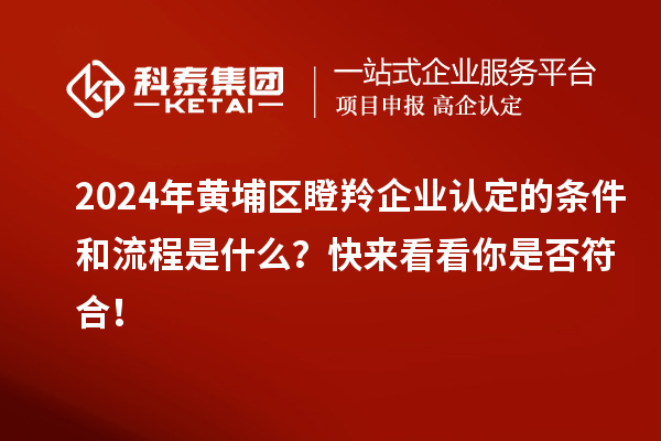 2024年黃埔區(qū)瞪羚企業(yè)認定的條件和流程是什么？快來看看你是否符合！