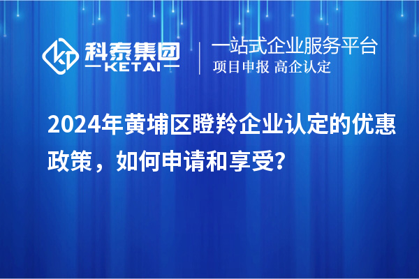 2024年黃埔區(qū)瞪羚企業(yè)認定的優(yōu)惠政策，如何申請和享受？