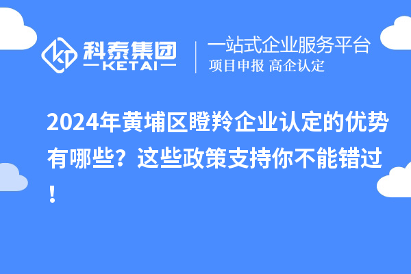 2024年黃埔區(qū)瞪羚企業(yè)認定的優(yōu)勢有哪些？這些政策支持你不能錯過！