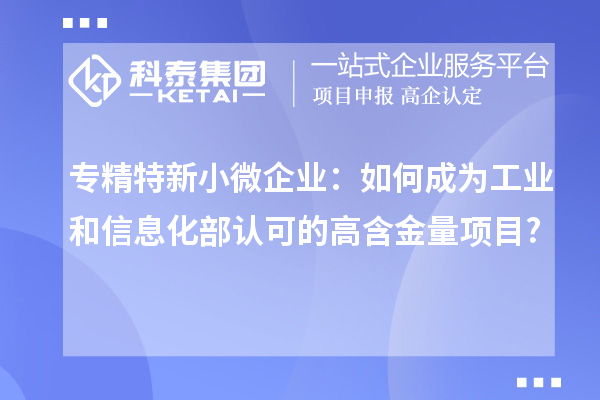 專精特新小微企業(yè)：如何成為工業(yè)和信息化部認可的高含金量項目?