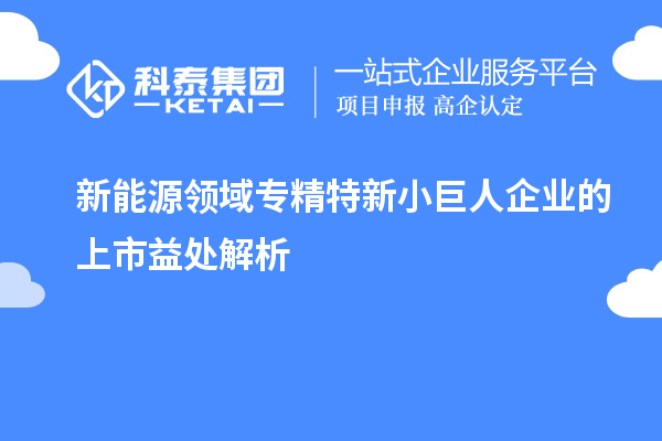 新能源領(lǐng)域?qū)＞匦滦【奕似髽I(yè)的上市益處解析