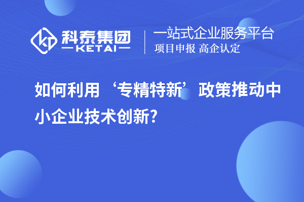 如何利用‘專精特新’政策推動(dòng)中小企業(yè)技術(shù)創(chuàng)新?