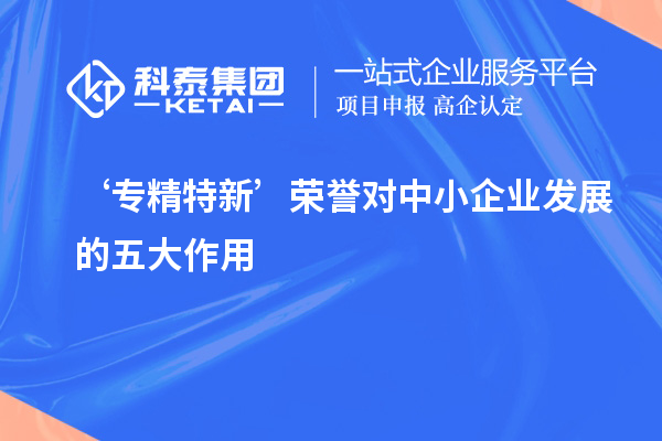 ‘專精特新’榮譽(yù)對中小企業(yè)發(fā)展的五大作用