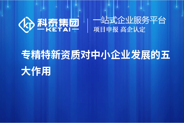 專精特新資質(zhì)對中小企業(yè)發(fā)展的五大作用