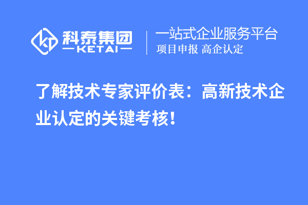 了解技術(shù)專家評(píng)價(jià)表：高新技術(shù)企業(yè)認(rèn)定的關(guān)鍵考核！