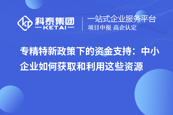 專(zhuān)精特新政策下的資金支持：中小企業(yè)如何獲取和利用這些資源