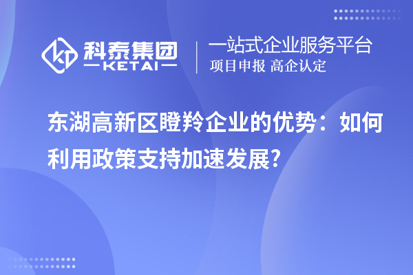 東湖高新區(qū)瞪羚企業(yè)的優(yōu)勢：如何利用政策支持加速發(fā)展?