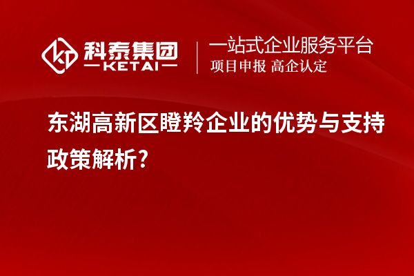 東湖高新區(qū)瞪羚企業(yè)的優(yōu)勢與支持政策解析?