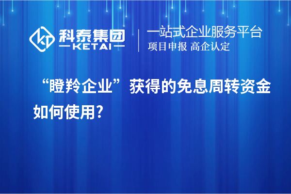 “瞪羚企業(yè)”獲得的免息周轉(zhuǎn)資金如何使用?