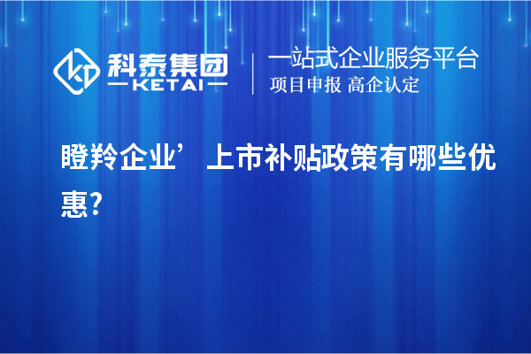 瞪羚企業(yè)’上市補貼政策有哪些優(yōu)惠?