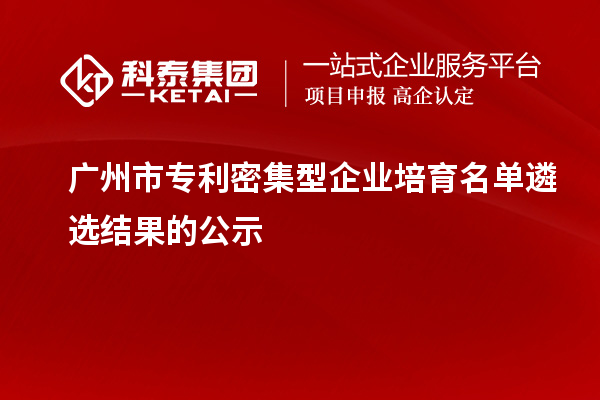 廣州市專利密集型企業(yè)培育名單遴選結(jié)果的公示