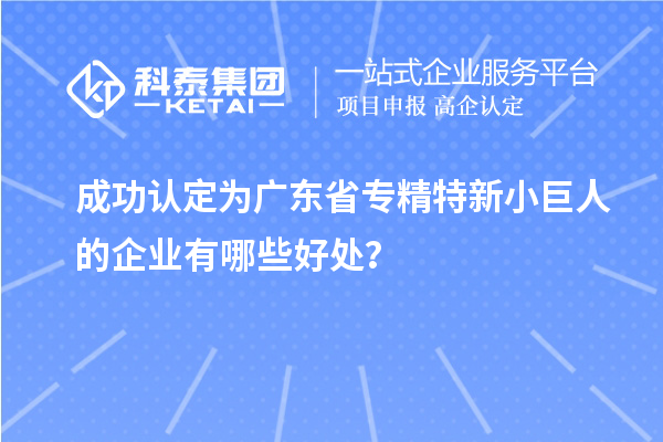 成功認定為廣東省專精特新小巨人的企業(yè)有哪些好處？