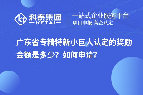 廣東省專精特新小巨人認(rèn)定的獎(jiǎng)勵(lì)金額是多少？如何申請(qǐng)？