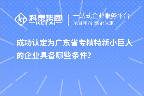 成功認(rèn)定為廣東省專精特新小巨人的企業(yè)具備哪些條件？