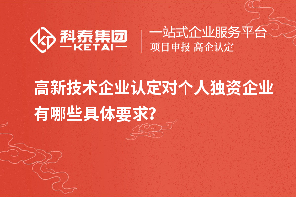 高新技術(shù)企業(yè)認(rèn)定對(duì)個(gè)人獨(dú)資企業(yè)有哪些具體要求？