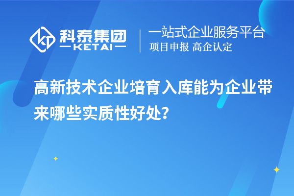 高新技術(shù)企業(yè)培育入庫能為企業(yè)帶來哪些實質(zhì)性好處？