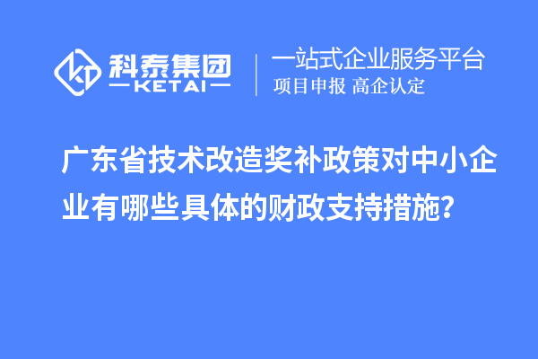 廣東省技術(shù)改造獎(jiǎng)補(bǔ)政策對(duì)中小企業(yè)有哪些具體的財(cái)政支持措施？