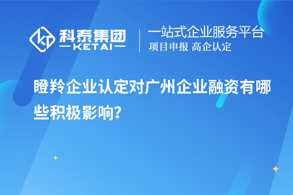 瞪羚企業(yè)認定對廣州企業(yè)融資有哪些積極影響？