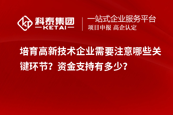 培育高新技術企業(yè)需要注意哪些關鍵環(huán)節(jié)？資金支持有多少？