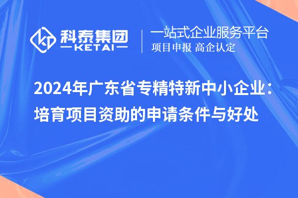 2024年廣東省專精特新中小企業(yè)：培育項(xiàng)目資助的申請條件與好處