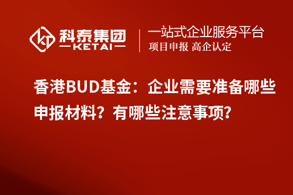 香港BUD基金：企業(yè)需要準(zhǔn)備哪些申報(bào)材料？有哪些注意事項(xiàng)？