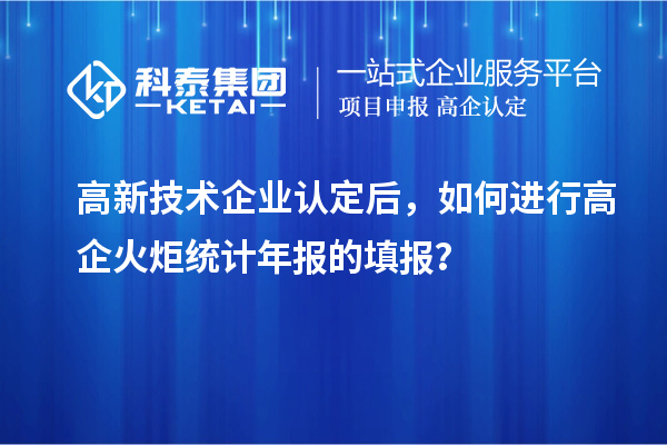 高新技術(shù)企業(yè)認(rèn)定后，如何進(jìn)行高企火炬統(tǒng)計(jì)年報(bào)的填報(bào)？