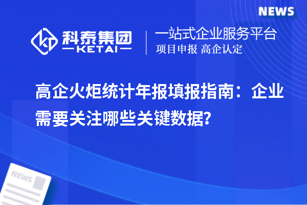 高企火炬統(tǒng)計年報填報指南：企業(yè)需要關(guān)注哪些關(guān)鍵數(shù)據(jù)？