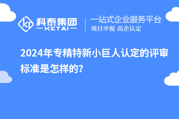 2024年專精特新小巨人認(rèn)定的評(píng)審標(biāo)準(zhǔn)是怎樣的？